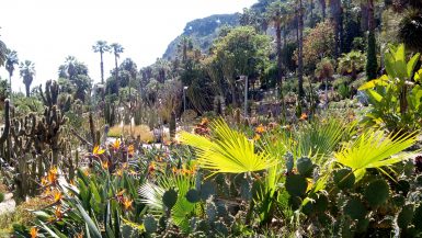 Jardines Mossèn Costa i Llobera